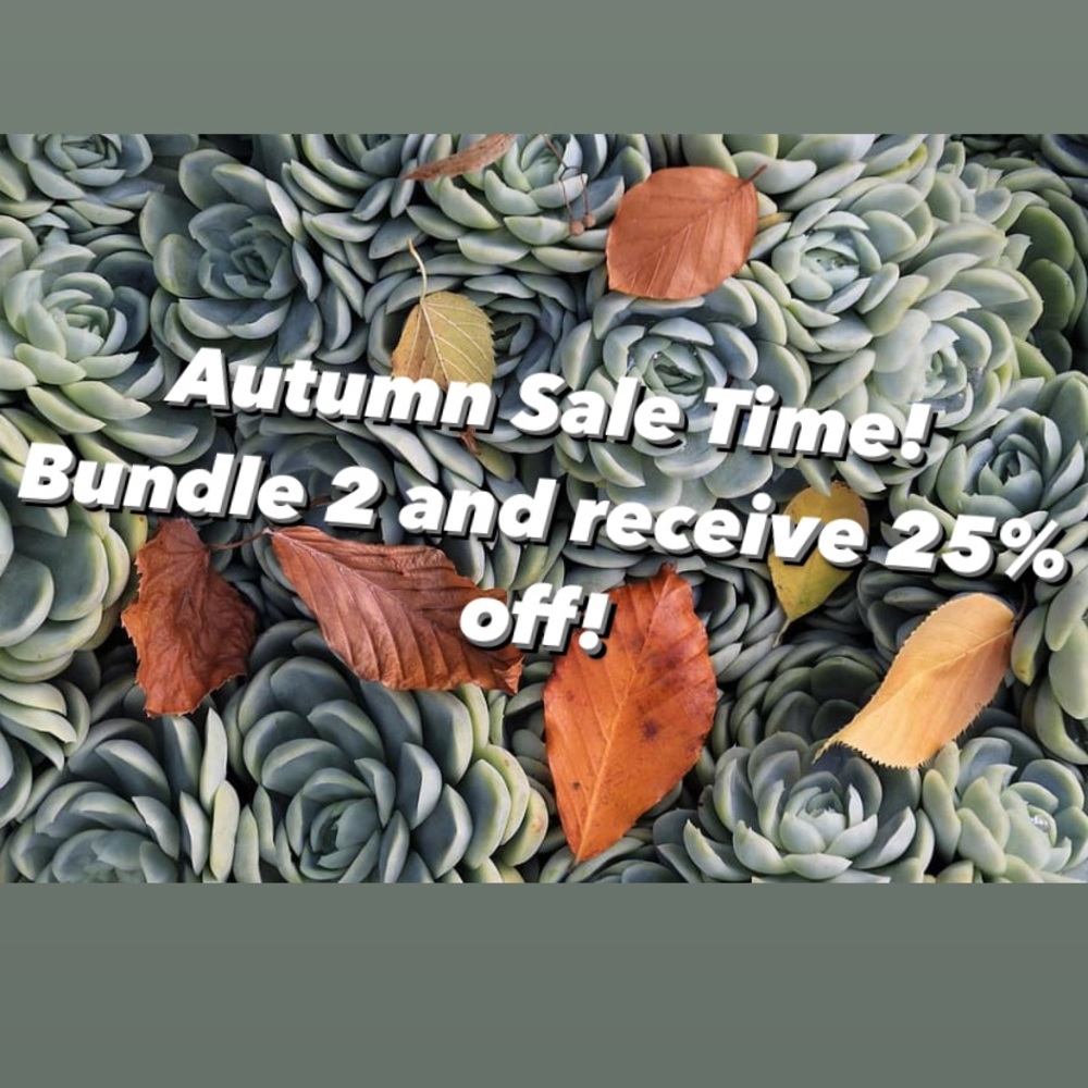 🔥 AUTUMN SALE! 🔥